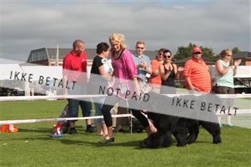 130370_tl_01_IMG_7492.JPG