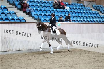181887_mtp_04_R62_8886.JPG