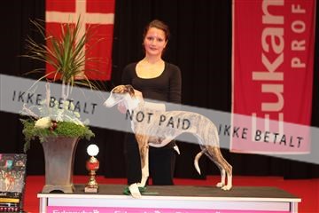 126827_tl_04_IMG_9809.JPG