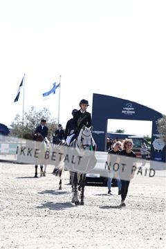 181436_avh_03_5072.JPG