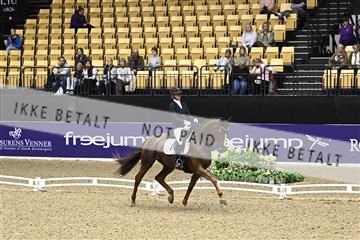 182194_kbb_03_Z091146.JPG