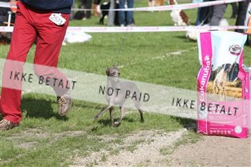 134871_ms_04_IMG_1346.JPG