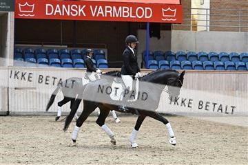 182241_kbb_01_Z093373.JPG