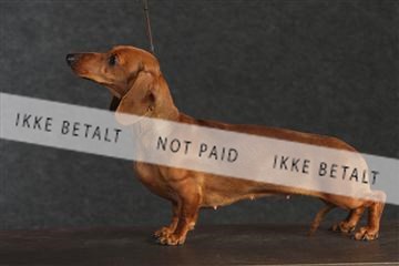 132082_le_ 01_IMG_0486.JPG