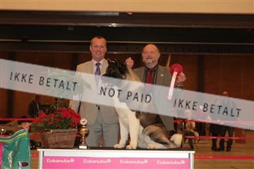 124188 _tl_02_IMG_9329.JPG