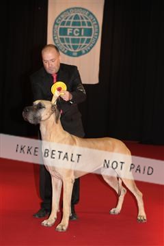 126827_tl_02_IMG_3102.JPG