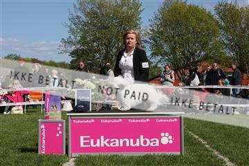134871_ms_02_IMG_3700.JPG