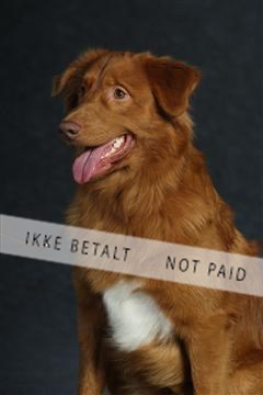 132082_le_ 01_IMG_0893.JPG