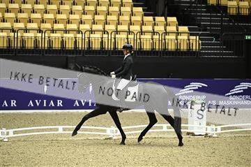 182194_kbb_01_Z095846.JPG