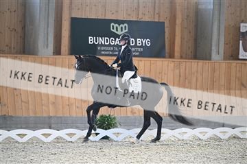 182176_kbb_01_Z092650.JPG