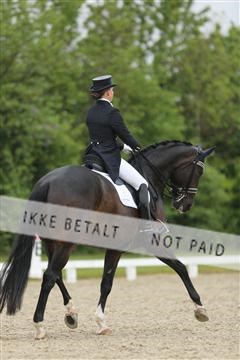 139835_sg_03_IMG_9020.JPG