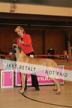 124188 _tl_02_IMG_9699.JPG