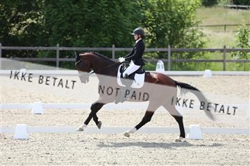 172030_mtp_01_3M5A2290.JPG