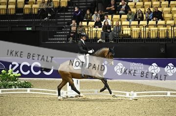 182194_kbb_01_Z096455.JPG