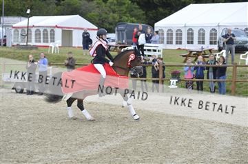 169624_kbb_01__KBB9101.JPG