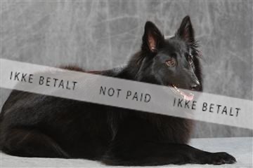 130054_le_ 01_0105.JPG