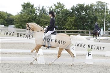 166078_rhj_01__J7R2808.JPG