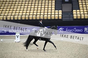 182194_kbb_01_Z095281.JPG