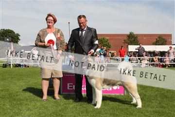 130370_se_02_IMG_6483.JPG