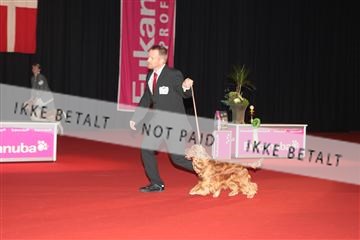 126827_tl_02_IMG_3145.JPG