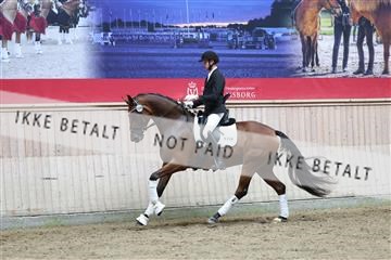 181887_mtp_04_R62_8838.JPG