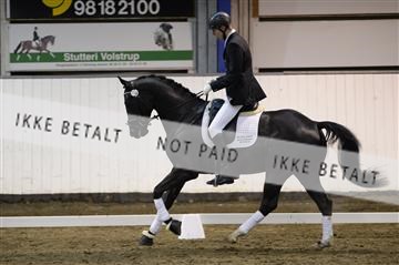 141472_abo_01__AB16031.JPG