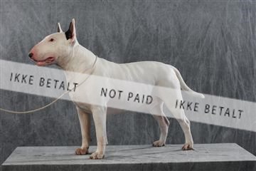 128239_le_kort_ 01_0274.JPG