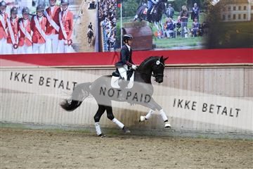181887_mtp_05_R62_9906.JPG