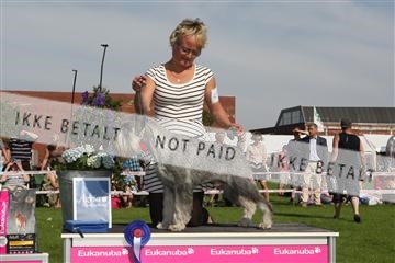 130370_se_02_IMG_6546.JPG