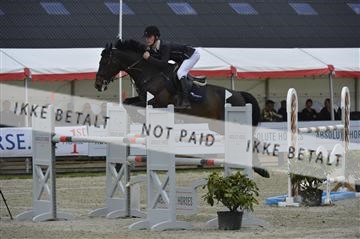 139644_abo_01__AB14126.JPG