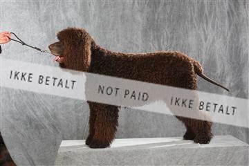 130054_le_ 01_0327.JPG