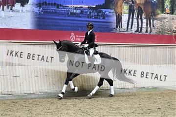 182241_kbb_01_Z095007.JPG
