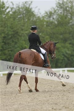 139835_sg_02_IMG_8974.JPG