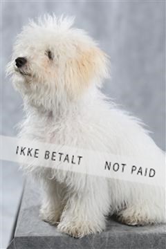 128239_le_kort_ 01_0357.JPG