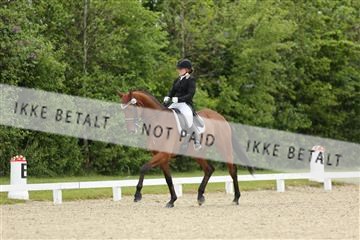 139835_sg_01_IMG_7854.JPG