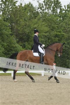 139835_sg_02_IMG_8567.JPG