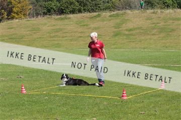 130370_tl_02_IMG_7826.JPG