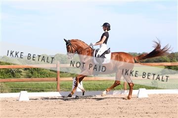 181449_bc_01R62_5963.JPG