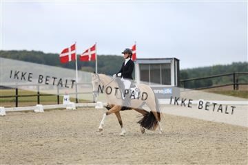181894_mtp_04_R62_3678.JPG