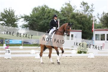156196_nn_01_IMG_5347.JPG