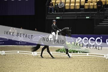 182194_kbb_01_Z096126.JPG