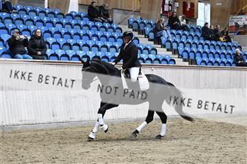 182241_kbb_01_Z093349.JPG