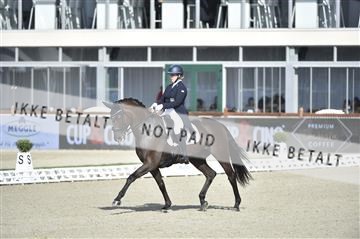169586_kuo_05__D4S0839.JPG