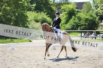 168732_mtp_01_3M5A6714.JPG
