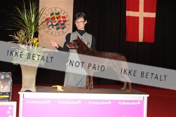 126827_tl_02_IMG_3117.JPG