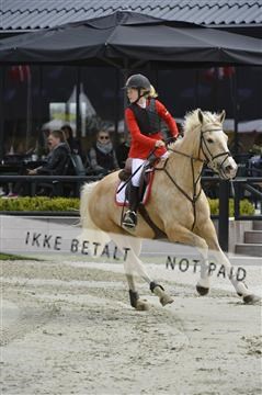 139644_abo_04__AB15377.JPG