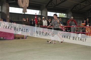 126168_se_02_IMG_0517.JPG