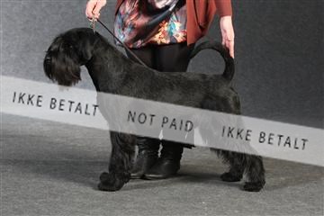 132082_le_ 01_IMG_1338.JPG