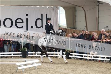174363_kbb_01_R6II7897.JPG