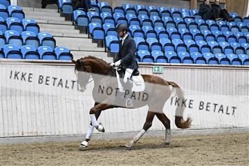 182241_kbb_01_Z094827.JPG